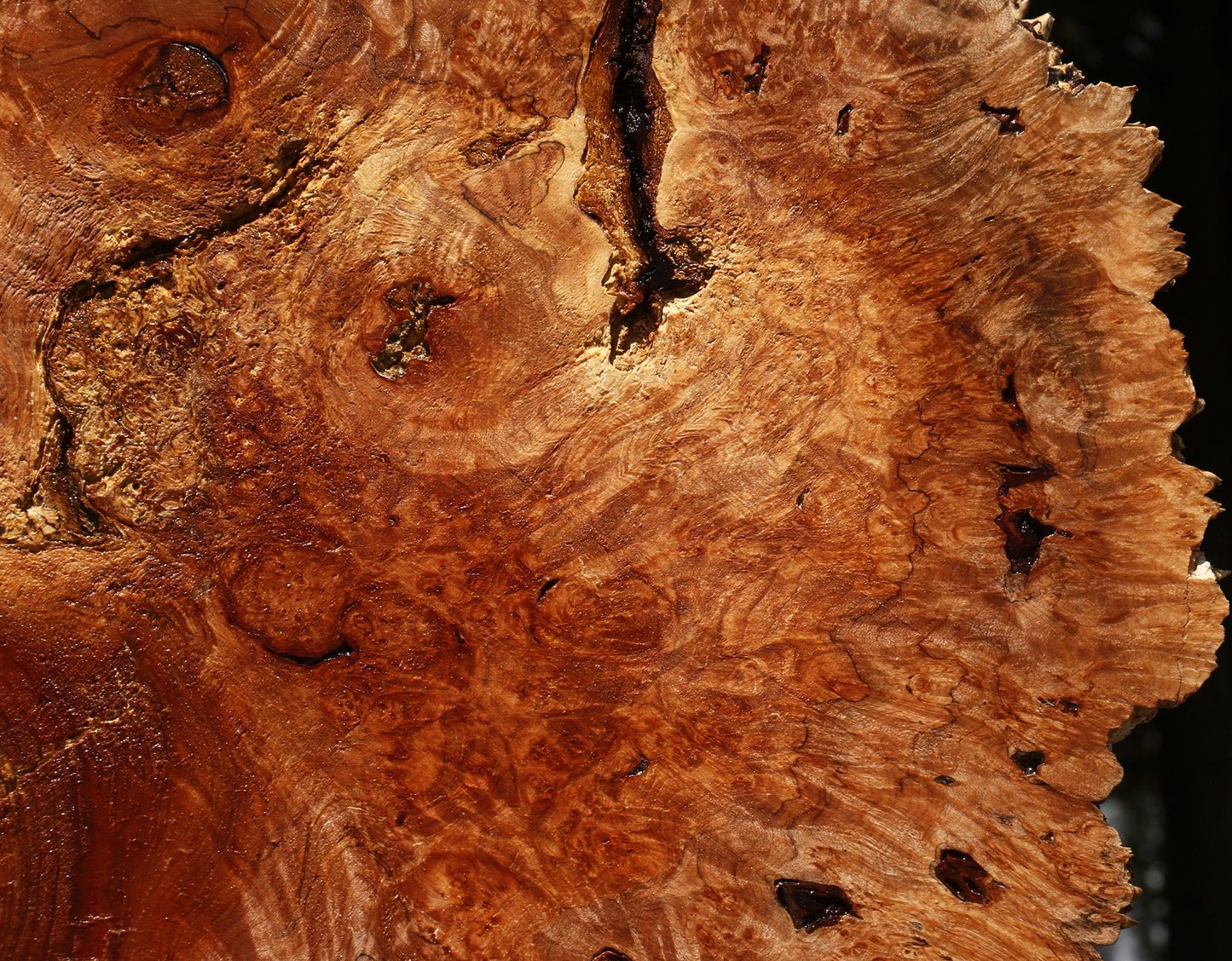 Maple Burl Cookie