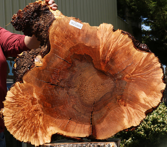 Rustic Maple Burl Cookie