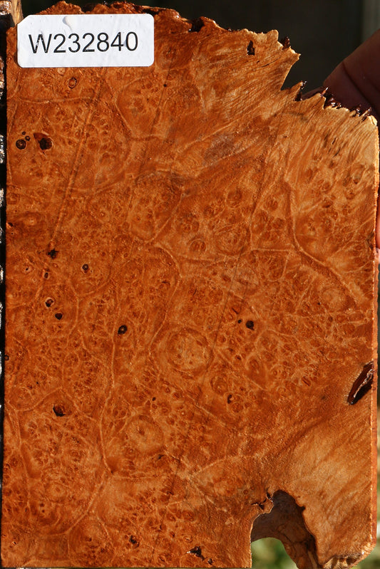 Maple Burl Lumber