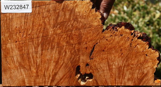 Maple Burl Lumber