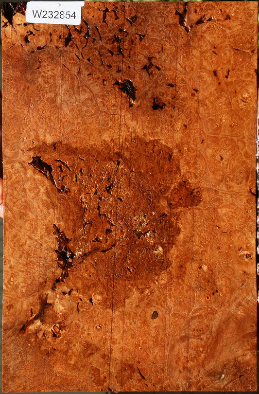 Rustic Maple Burl Lumber