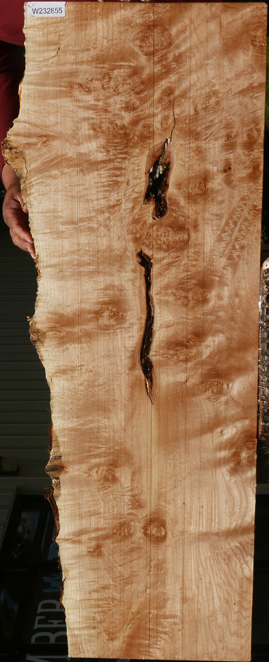 Extra Fancy Maple Live Edge Lumber