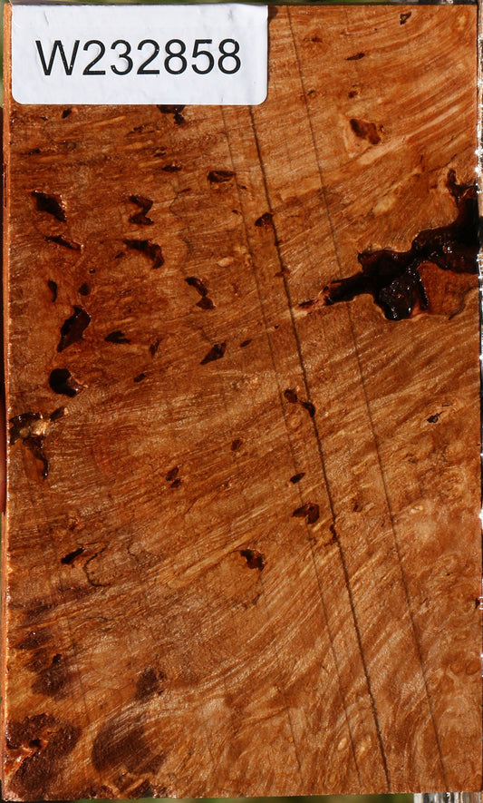 Maple Burl Lumber