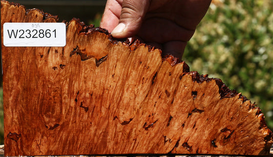 Maple Burl Live Edge Lumber