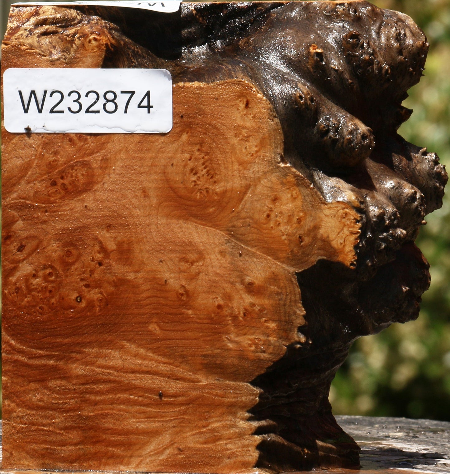 Maple Burl Live Edge Lumber