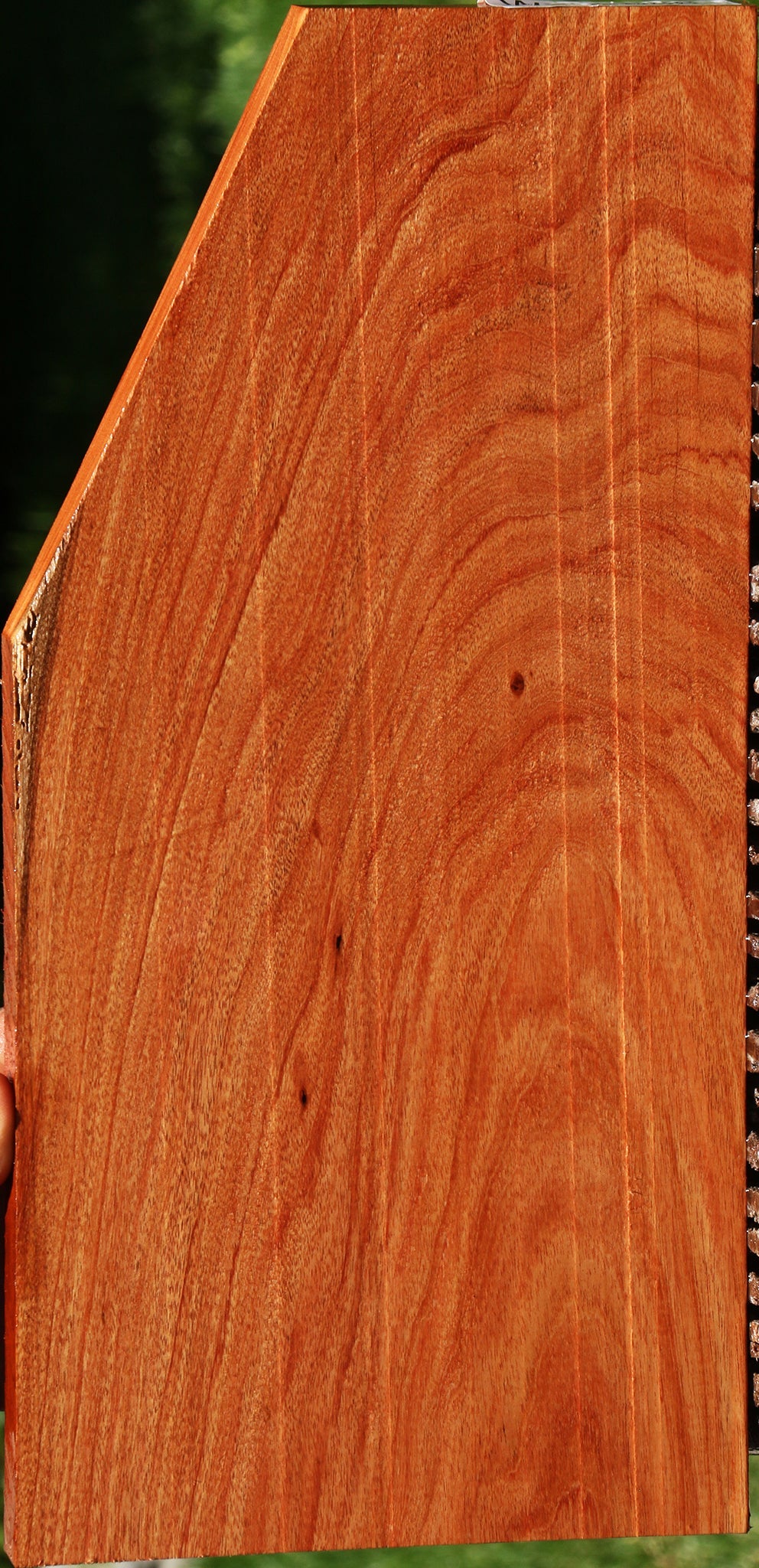 Figured Rosita Lumber