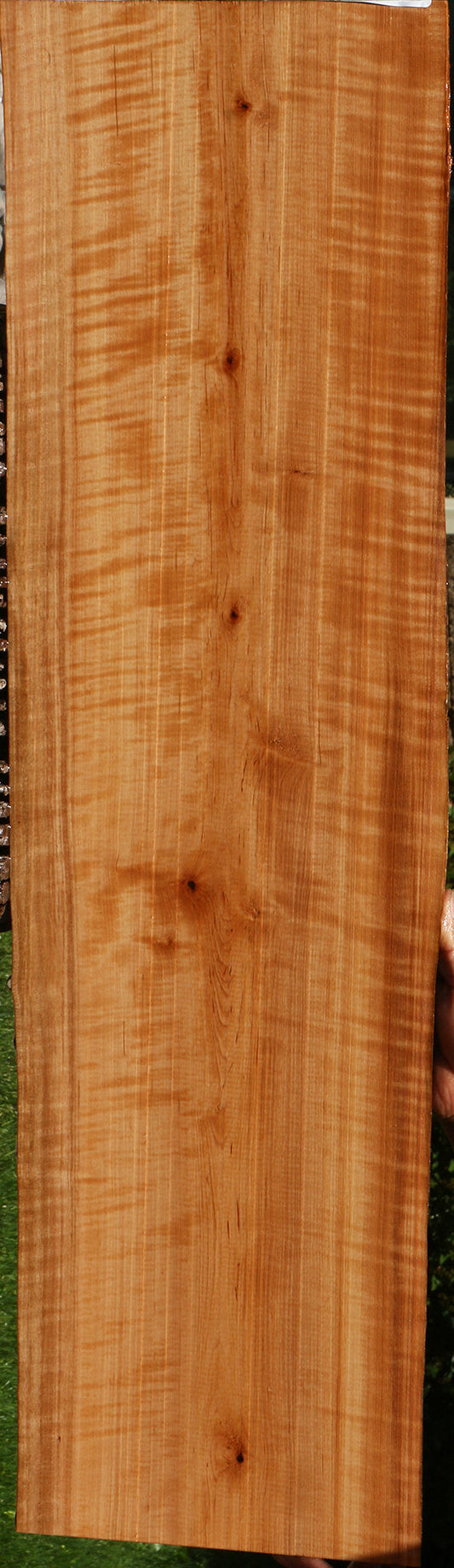 Extra Fancy Swiss Pear Live Edge Lumber