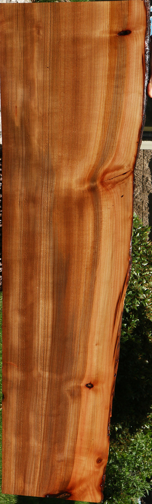 Figured Madrone Live Edge Lumber