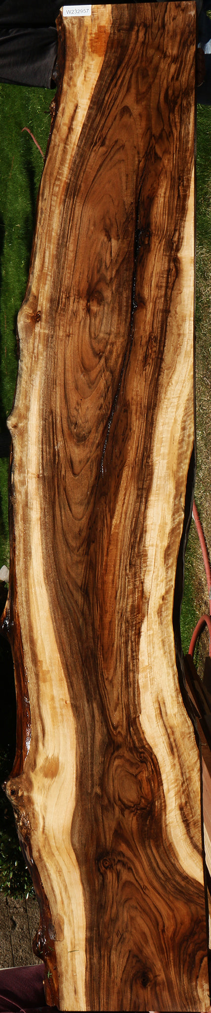 Extra Fancy Rustic English Walnut Live Edge Slab