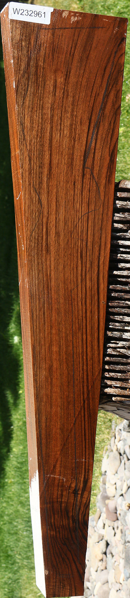 Extra Fancy English Walnut Rifle Blank