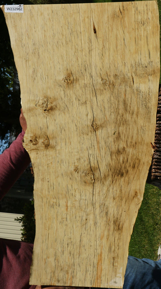 Figured Box Elder Live Edge Mini Slab