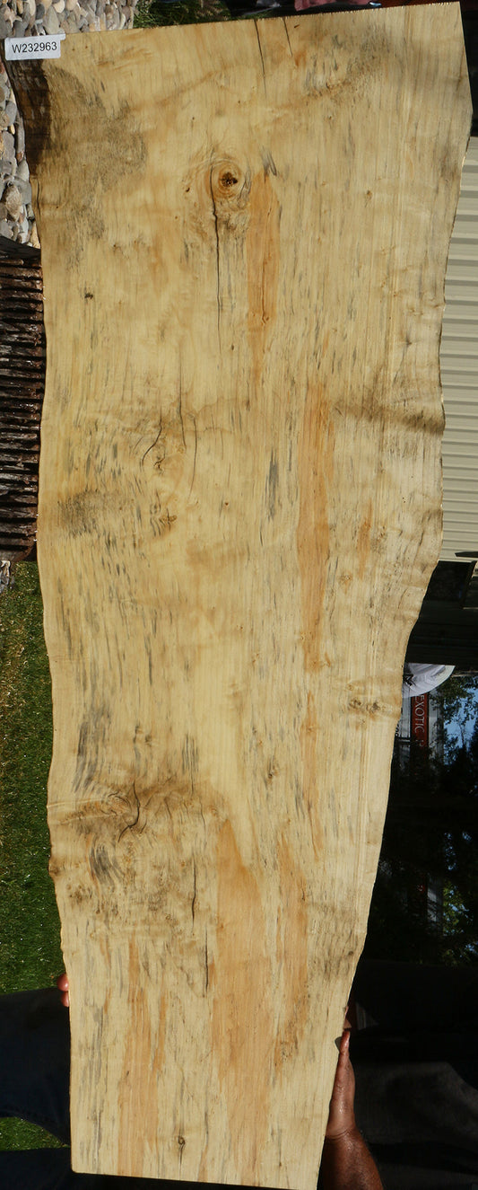 Figured Box Elder Live Edge Mini Slab