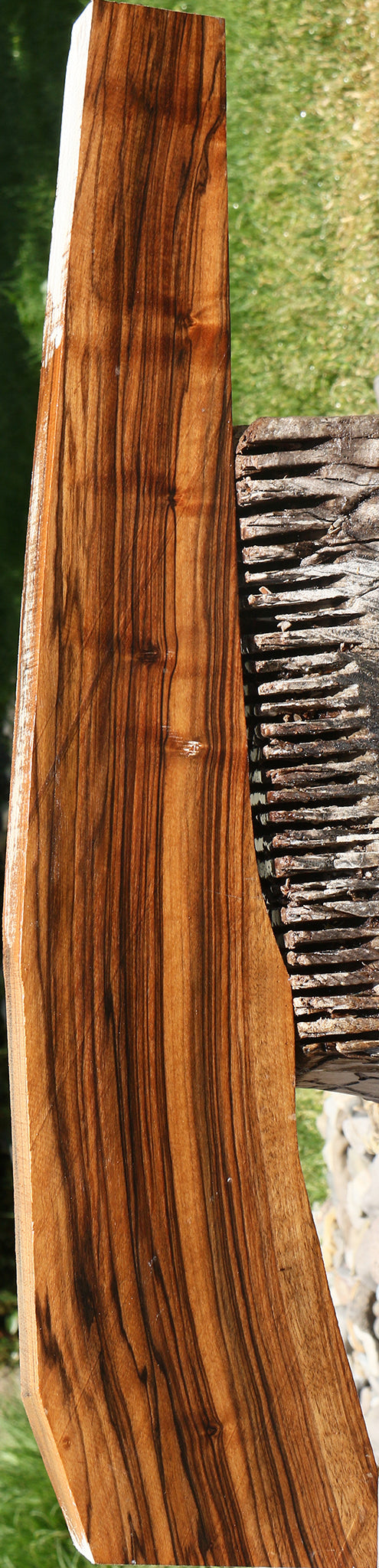 Extra Fancy English Walnut Rifle Blank