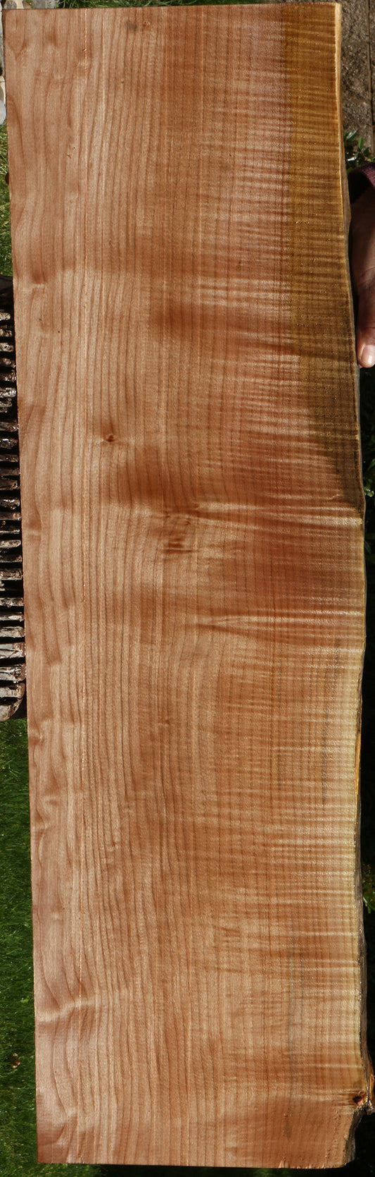 Quartersawn Maple Live Edge Lumber