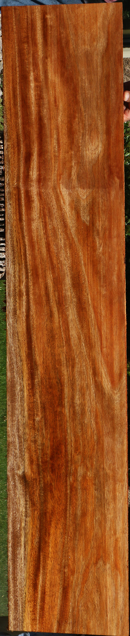 Figured African Mahogany Live Edge Lumber