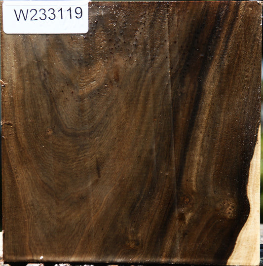 Pistachio Bowl Blank