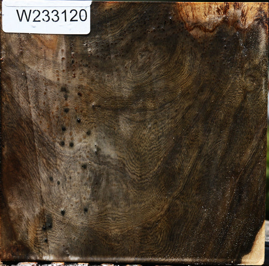 Pistachio Bowl Blank