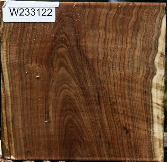 Figured Pistachio Live Edge Bowl Blank