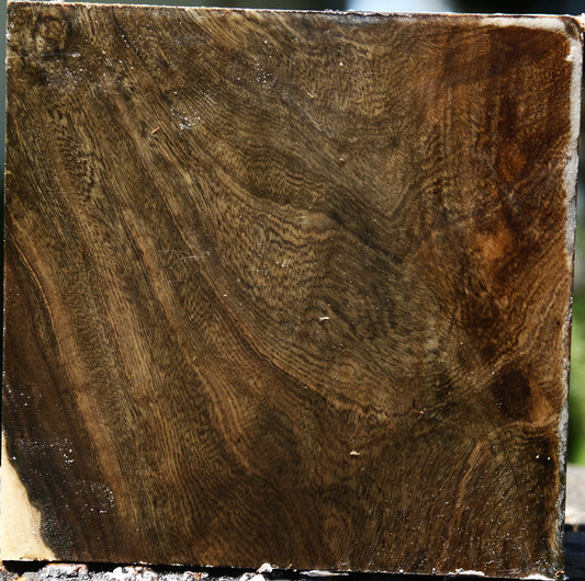 Pistachio Bowl Blank