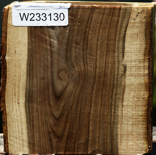 Pistachio Live Edge Bowl Blank