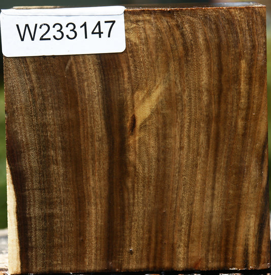 Pistachio Bowl Blank