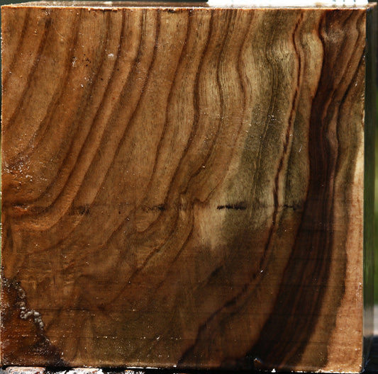 Pistachio Bowl Blank