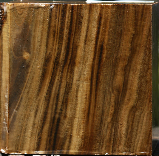 Pistachio Bowl Blank