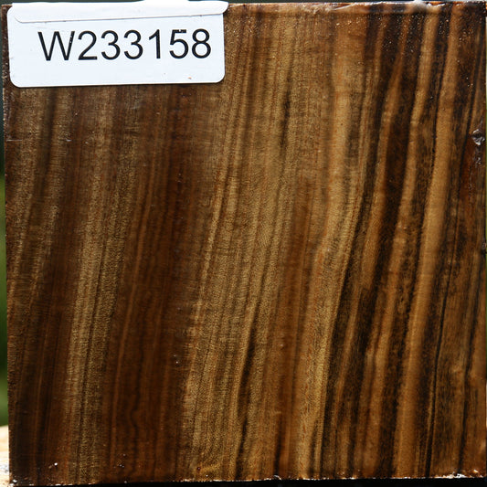 Pistachio Bowl Blank