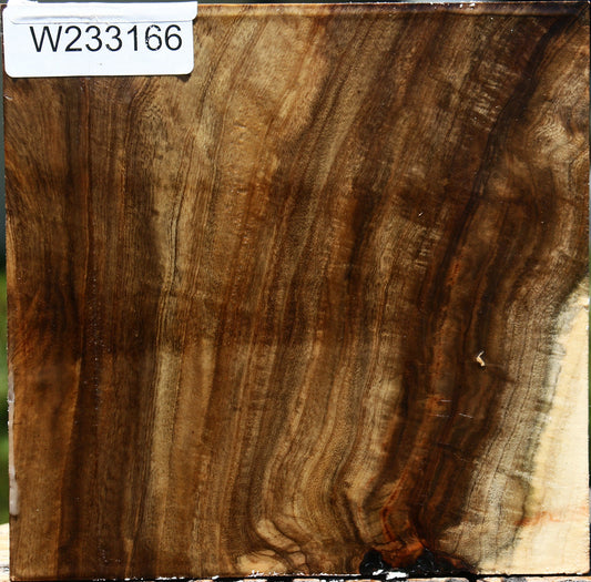 Pistachio Bowl Blank