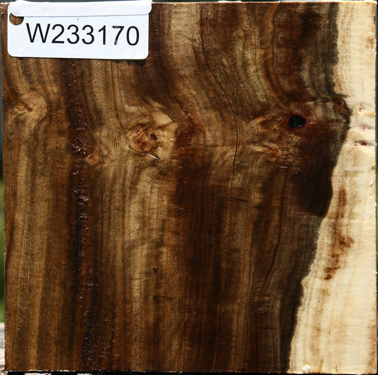 Pistachio Bowl Blank