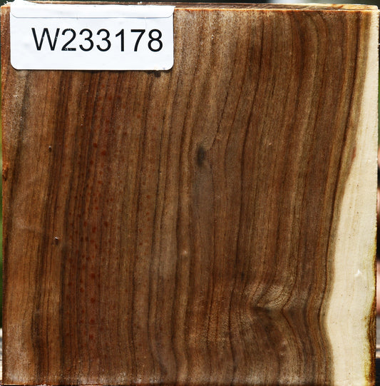 Pistachio Bowl Blank