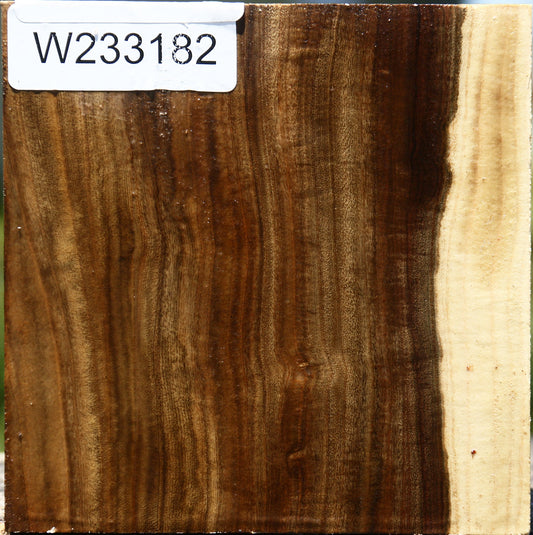 Pistachio Bowl Blank