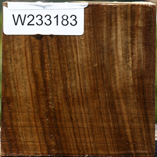 Pistachio Bowl Blank