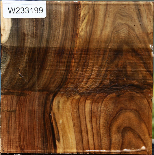 Grafted Pistachio Bowl Blank