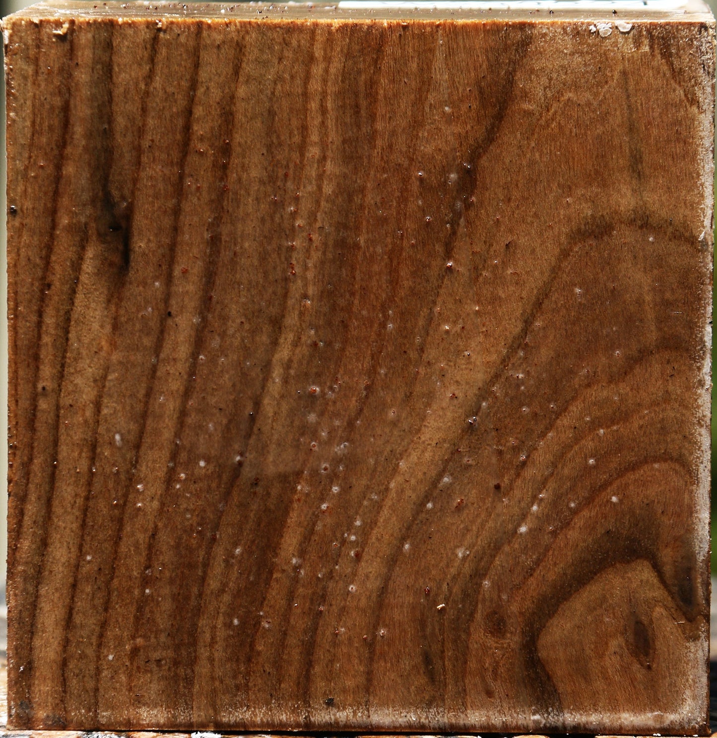 Pistachio Bowl Blank