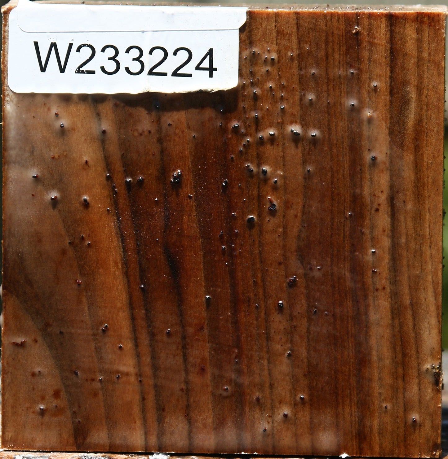 Pistachio Bowl Blank