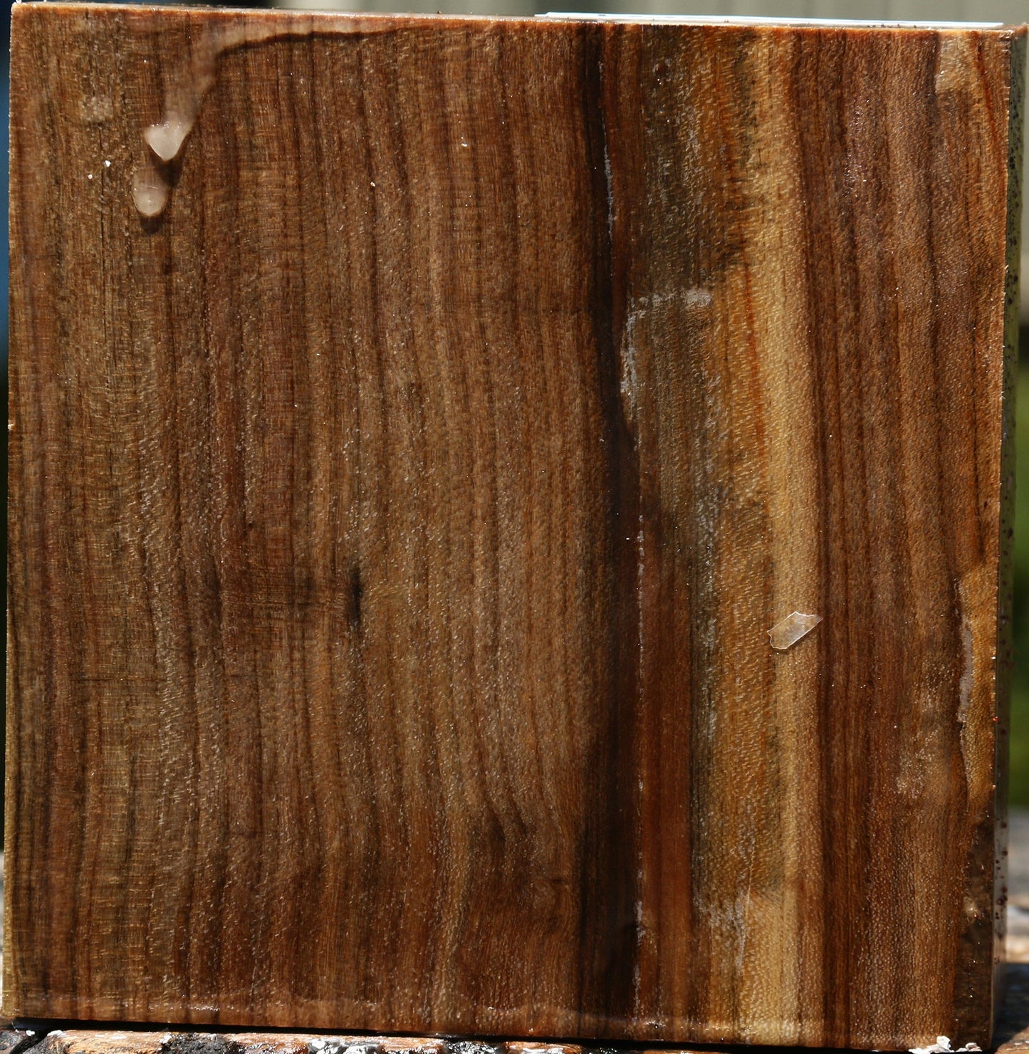 Pistachio Bowl Blank