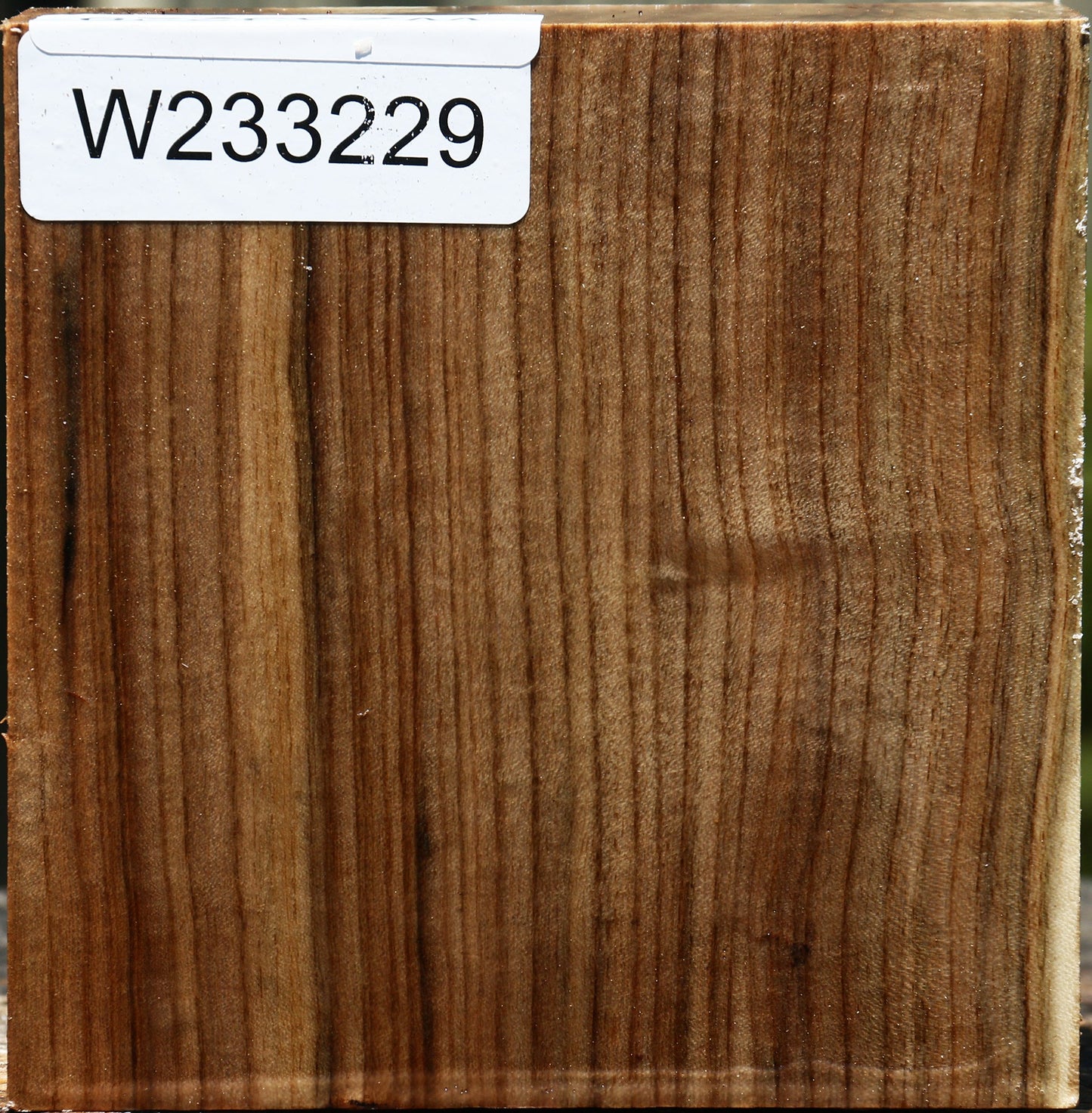 Pistachio Bowl Blank