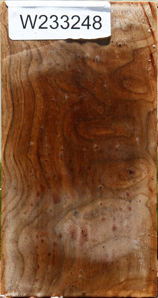 Extra Fancy Pistachio Turning Blank