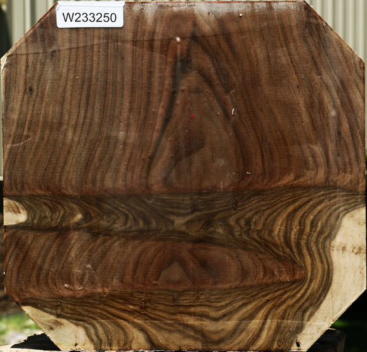 Grafted Pistachio Platter Blank