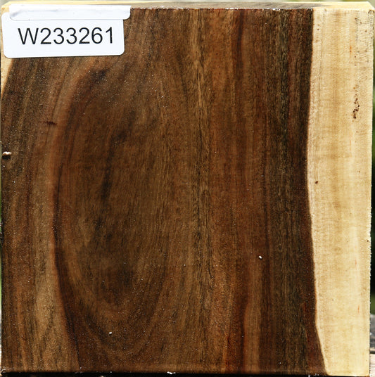 Pistachio Bowl Blank