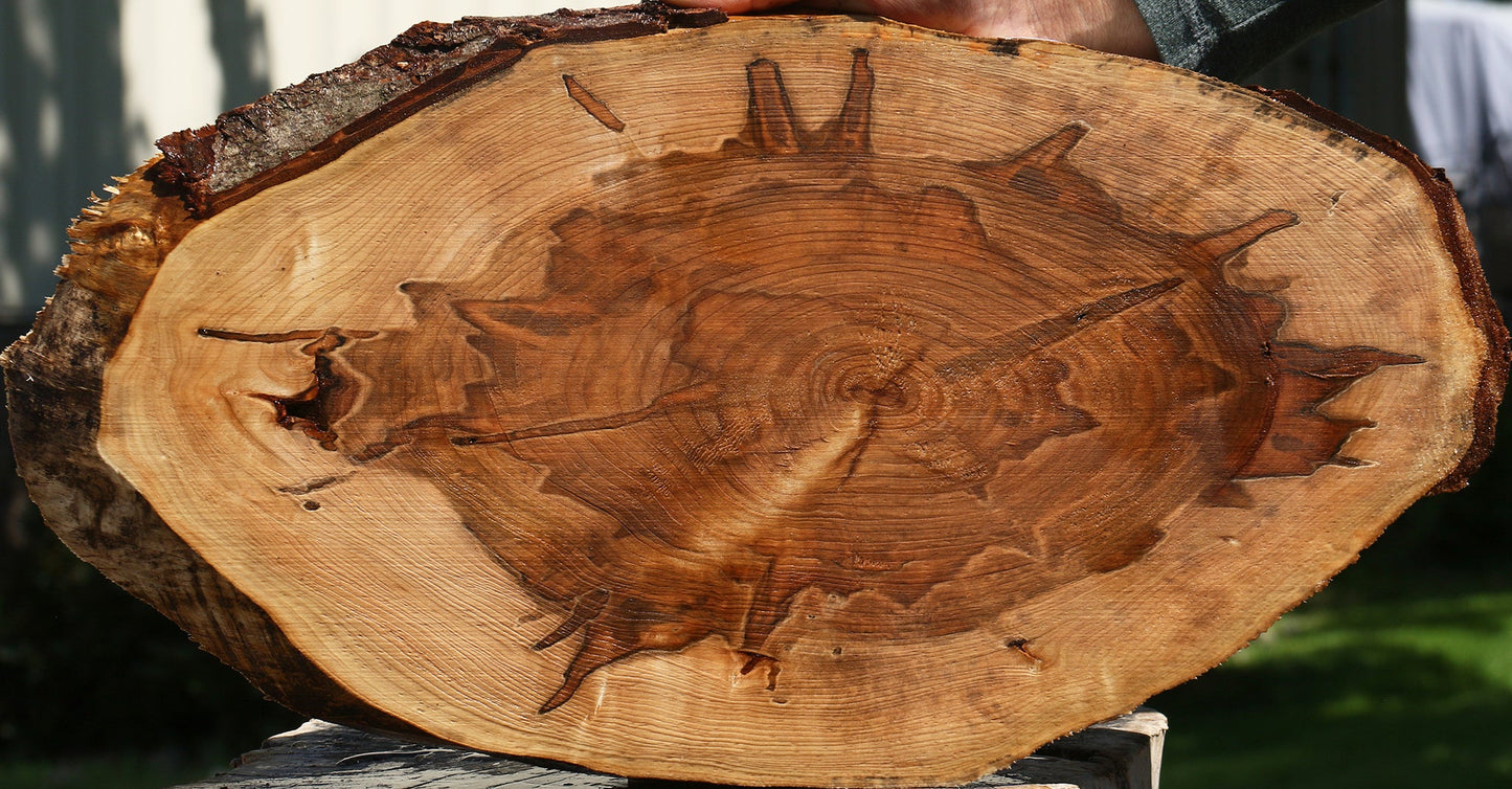 Extra Fancy Ambrosia Maple Cookie