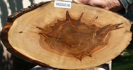 Ambrosia Maple Cookie