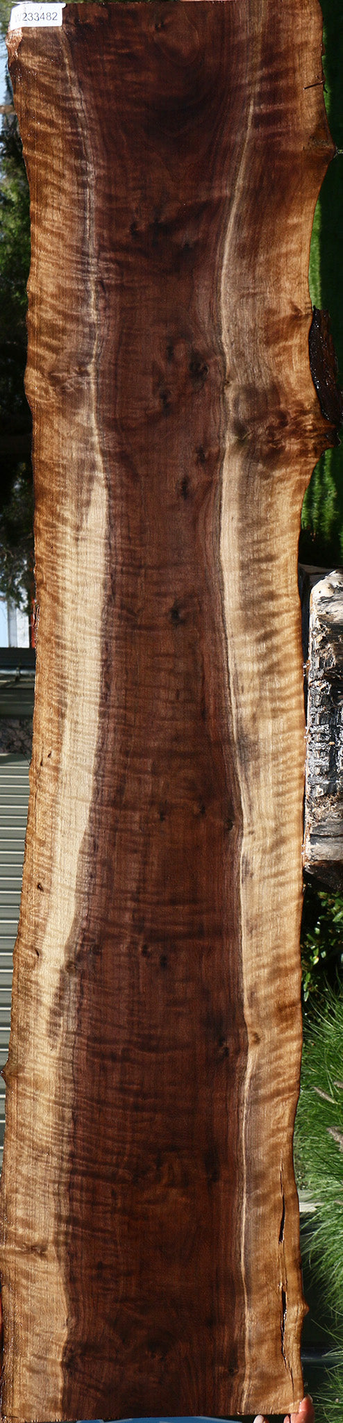 Extra Fancy Claro Walnut Live Edge Lumber