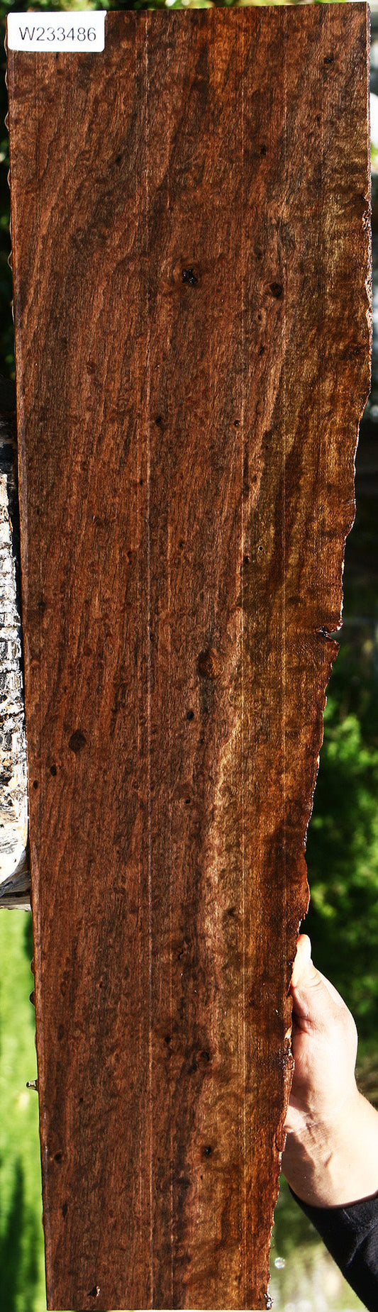Extra Fancy Quilted Claro Walnut Live Edge Lumber
