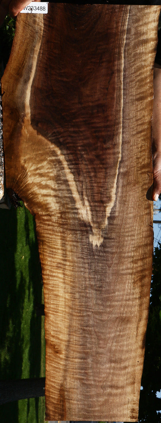 Figured Claro Walnut Live Edge Lumber