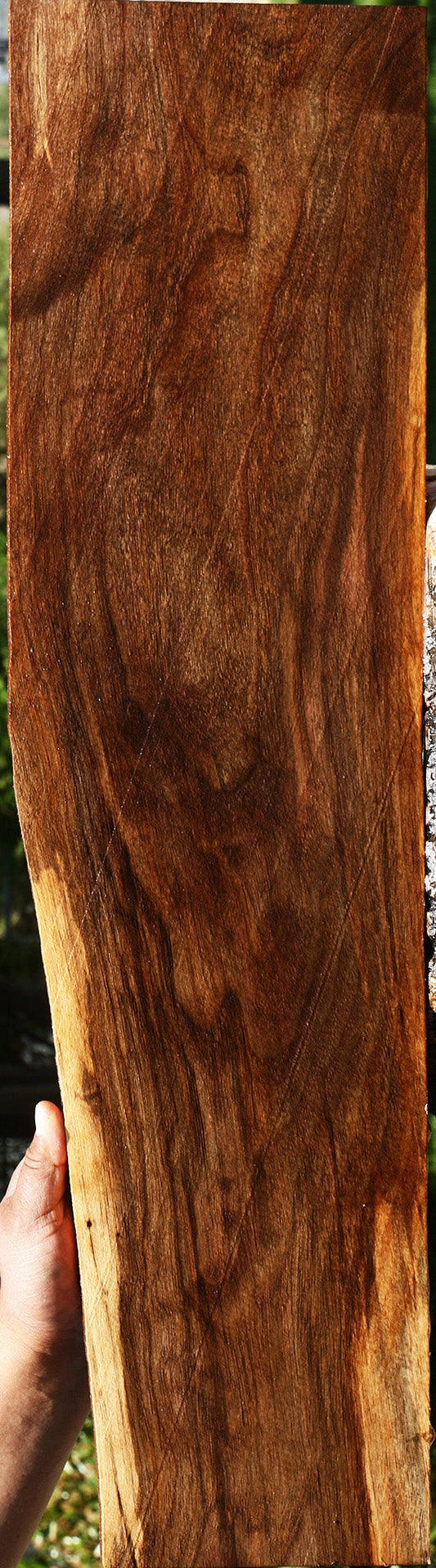 Claro Walnut Lumber
