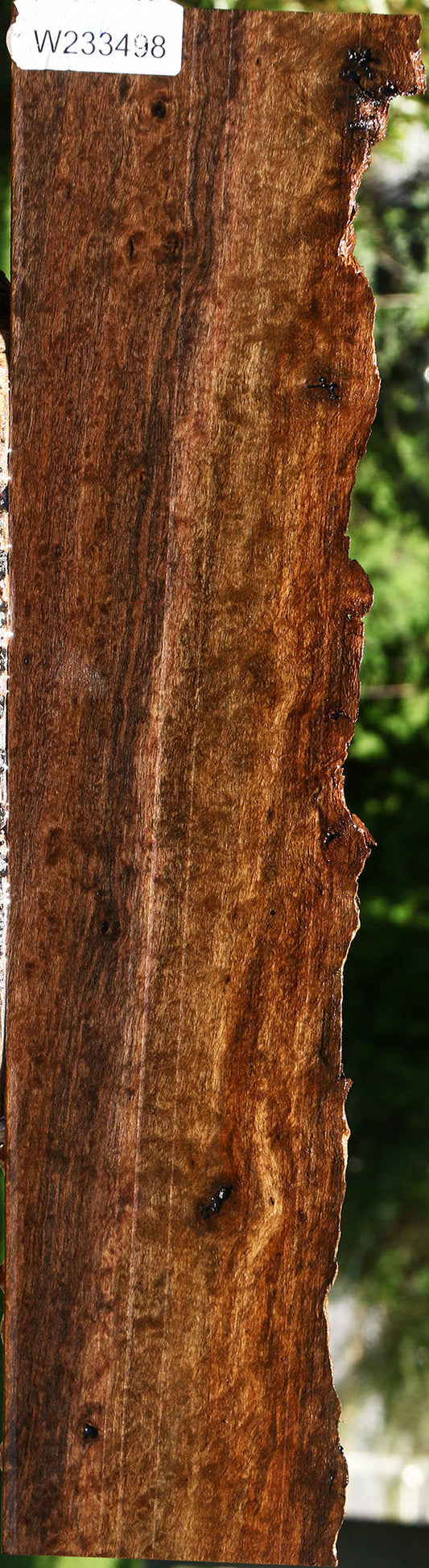 Extra Fancy Quilted Claro Walnut Live Edge Lumber