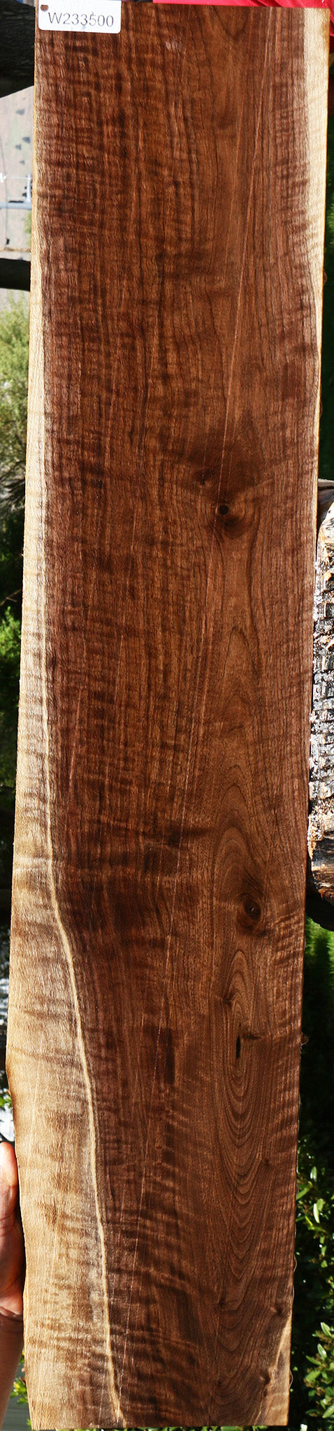 Exhibition Claro Walnut Lumber