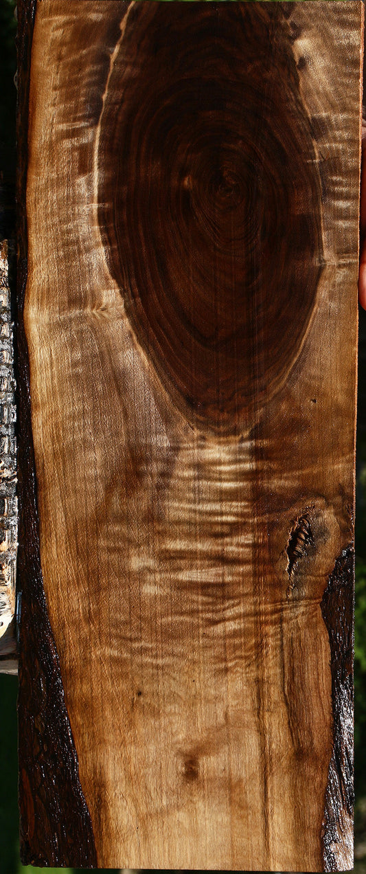 Extra Fancy Claro Walnut Live Edge Lumber